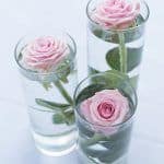 Three pink roses in glass vases, perfect for decoration.