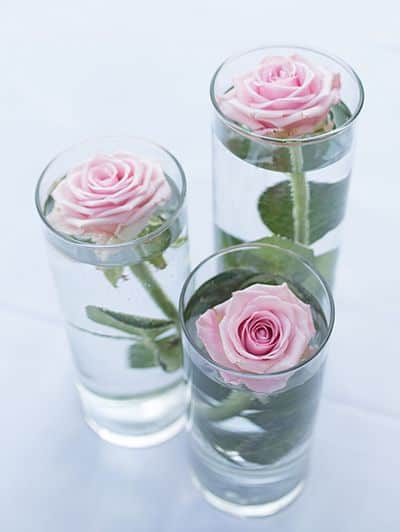 Three pink roses in glass vases, perfect for decoration.