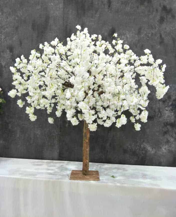 White Cherry Blossom Tree Hire Forever and a Day Events