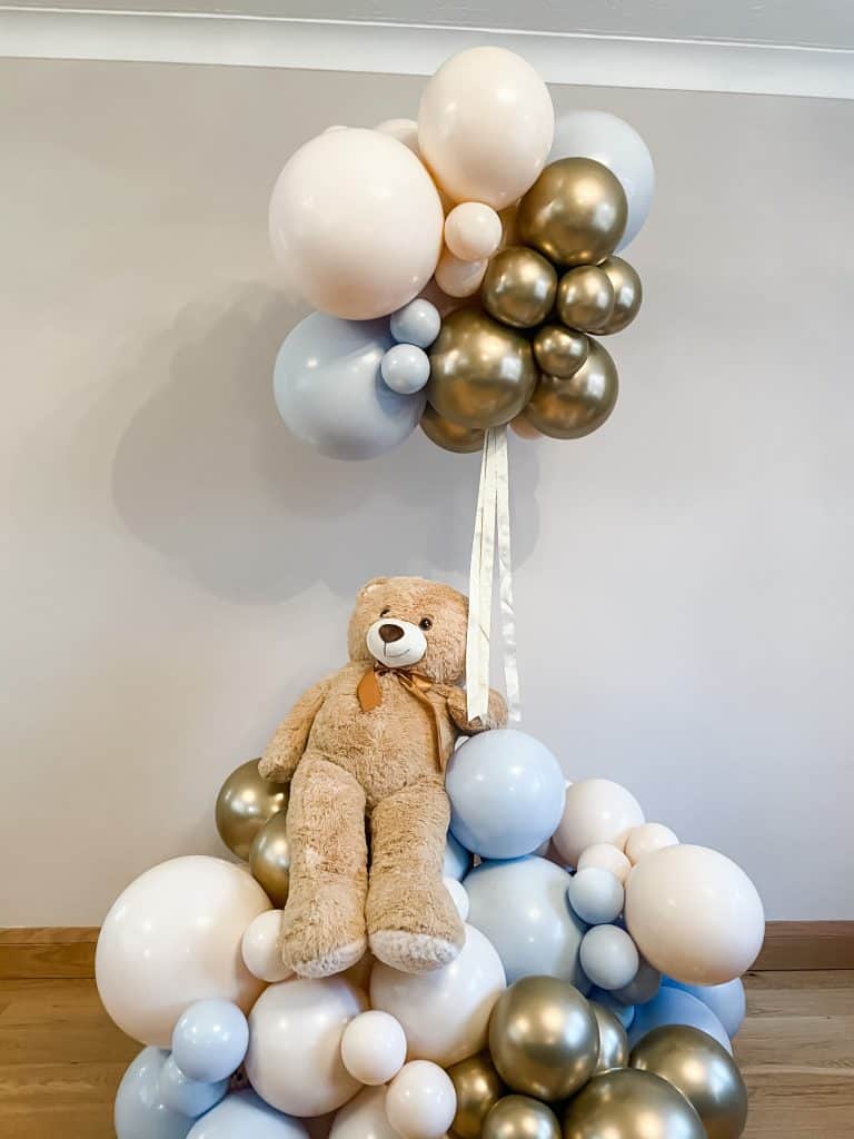 teddy hot air balloon