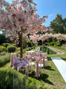 Pink cherry blossom tree hire